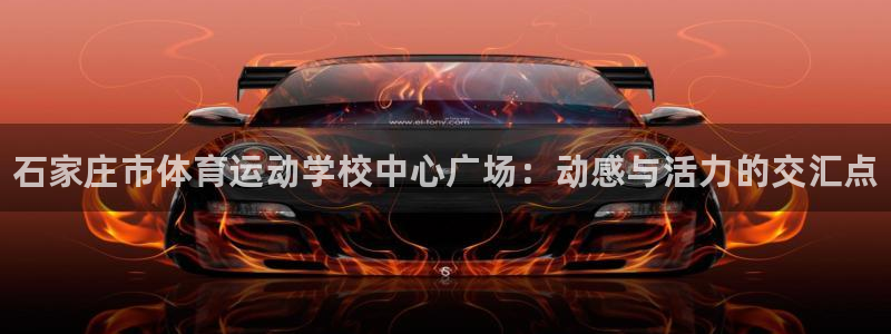 3377体育官网下载招商电话地址查询:石家庄市体育运动学校中