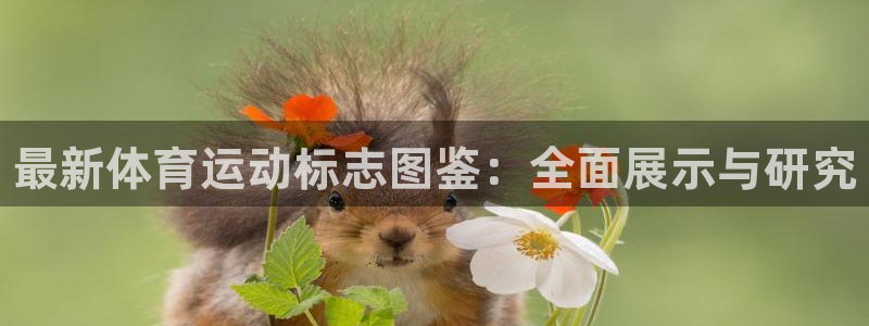 3377体育官方正版app娱乐网站:最新体育运动标志图鉴:全
