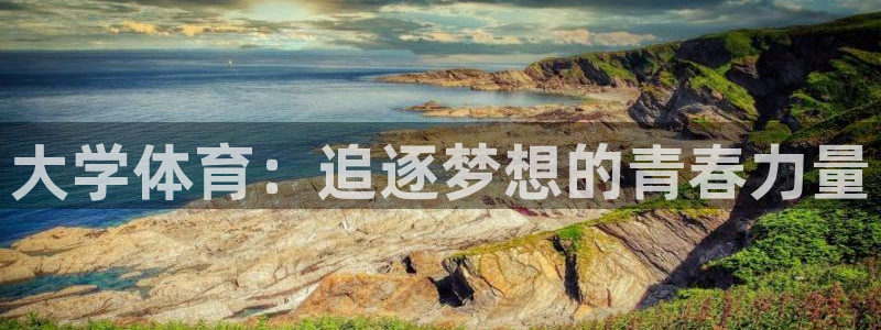 3377体育官网下载平台:大学体育:追逐梦想的青春力量