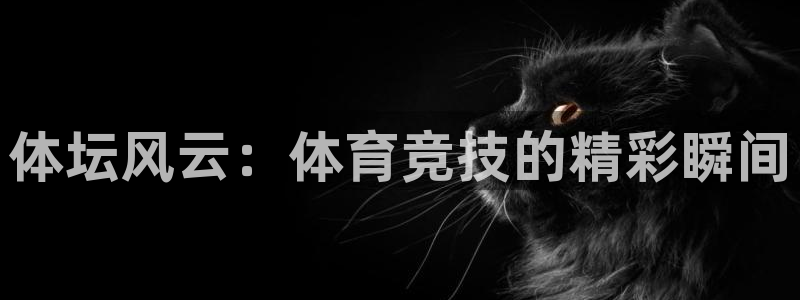 3377体育官网下载招商电话号码:体坛风云:体育竞技的精彩瞬